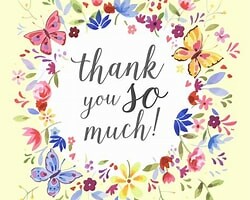 Thank you to Wildwillow Enterprises Inc.